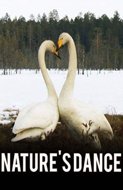 Nature's Dance