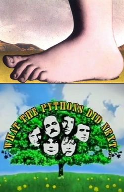 What the Pythons Did Next...