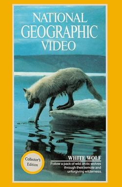 National Geographic: White Wolf
