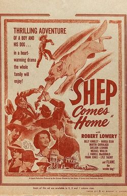 Shep Comes Home