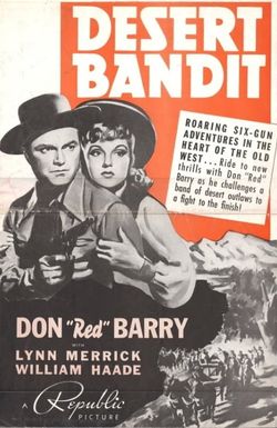 Desert Bandit
