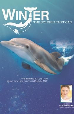 Winter, the Dolphin That Can