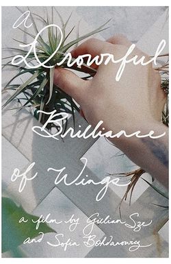 A Drownful Brilliance of Wings