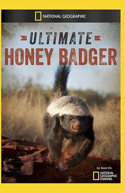 Ultimate Honey Badger