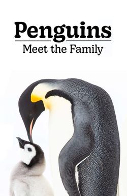 Penguins: Meet the Family