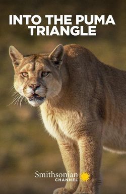 Into the Puma Triangle