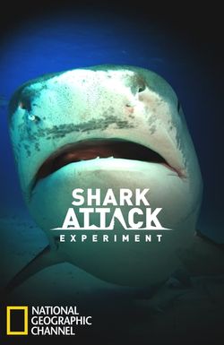 Shark Attack Experiment Live