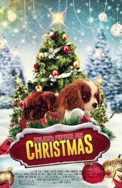 Project: Puppies for Christmas