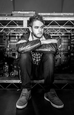 Zedd: 'Moment of Clarity'