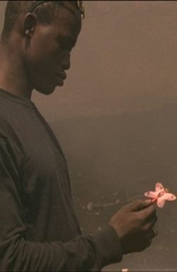 Waste no.6: How Great