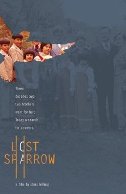 Lost Sparrow