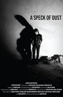 A Speck of Dust