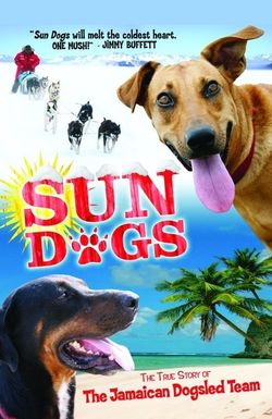 Sun Dogs