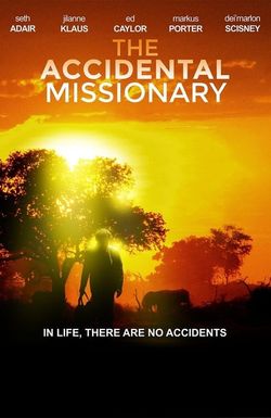 The Accidental Missionary
