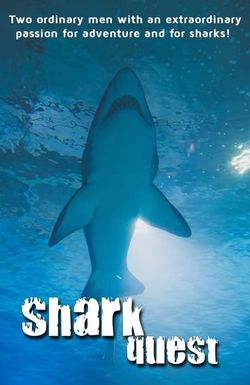 Shark Quest