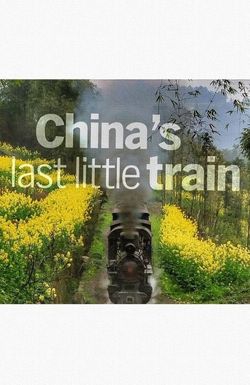 The Last Little Train in China
