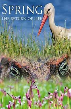 Spring: The Return of Life