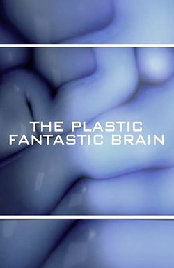 The Plastic Fantastic Brain