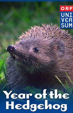 Year of the Hedgehog
