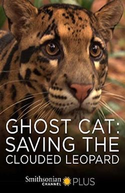 Ghost Cat: Saving the Clouded Leopard