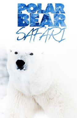 Polar Bear Safari