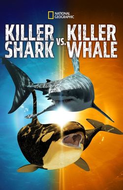 Killer Shark vs. Killer Whale
