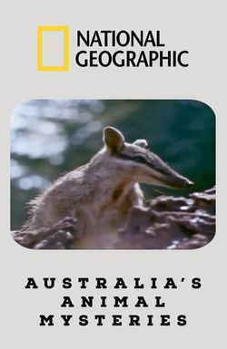 Australia's Animal Mysteries