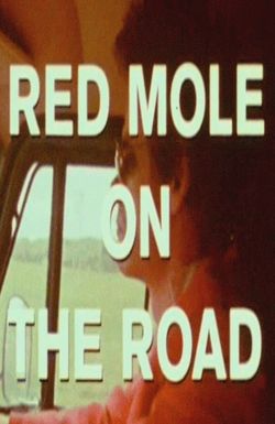 On the Road with Red Mole