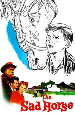 The Sad Horse