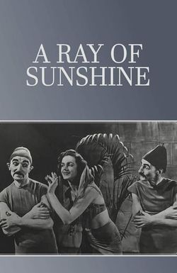 A Ray of Sunshine: An Irresponsible Medley of Song and Dance