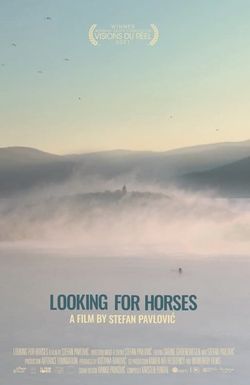 Looking for Horses