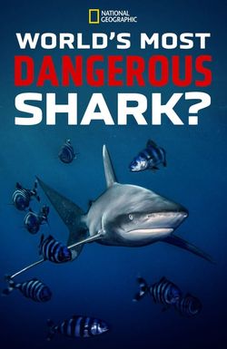 World's Most Dangerous Shark
