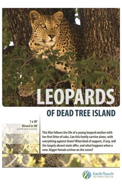 Leopards of Dead Tree Island