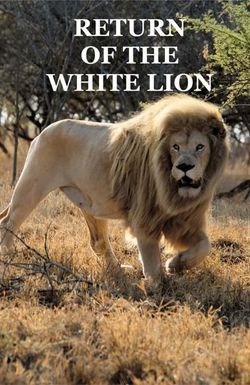 Return of the White Lion