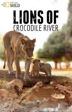 Lions of Crocodile River