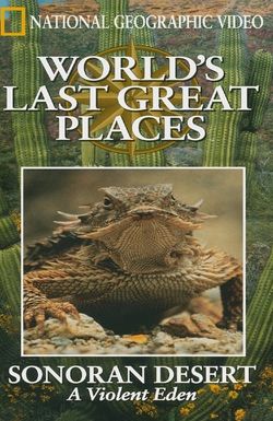 The Sonoran Desert: A Violent Eden