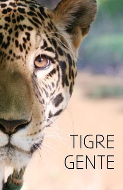Tigre Gente