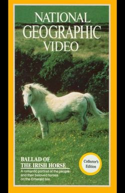 Ballad of the Irish Horse