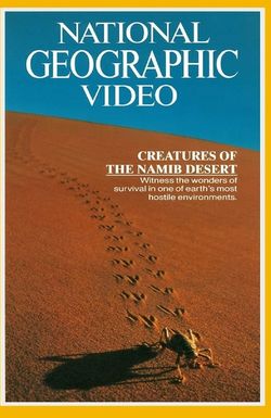 The Living Sands of Namib