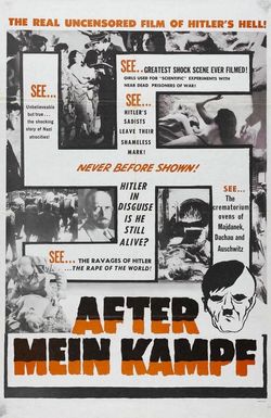 After Mein Kampf