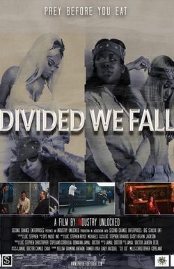 Divided We Fall