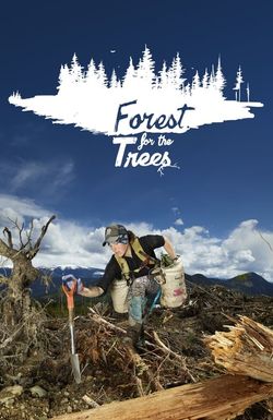 Forest for the Trees