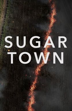Sugar Town