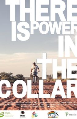 There Is Power in the Collar