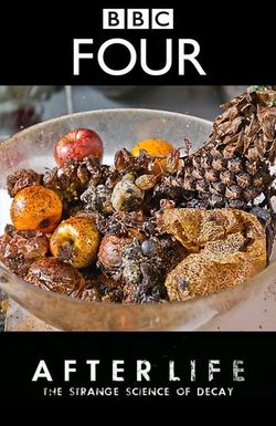 After Life: The Strange Science of Decay