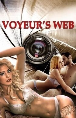 Voyeur's Web