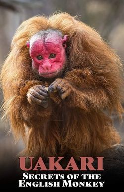 Uakari: Secrets of the English Monkey