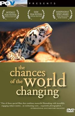 The Chances of the World Changing