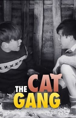 The Cat Gang
