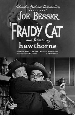 'Fraidy Cat